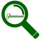 paramountaudit.com